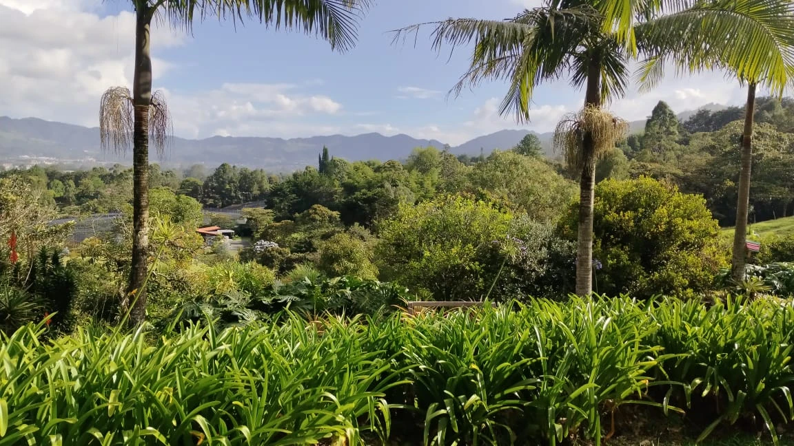 Casa lote en arriendo en Pontezuela
