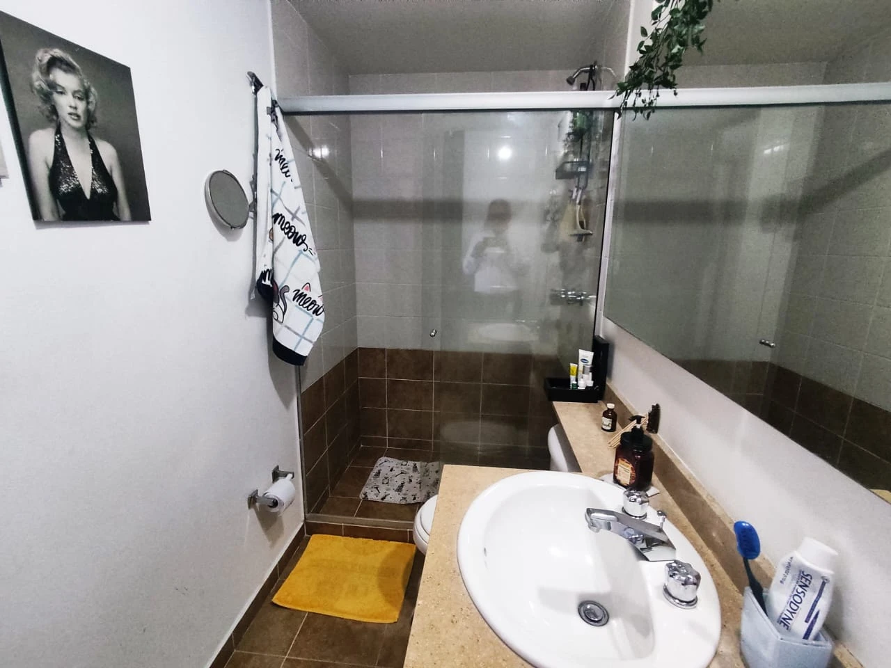 Apartamento en Arriendo sector Mall el Indio Palmas