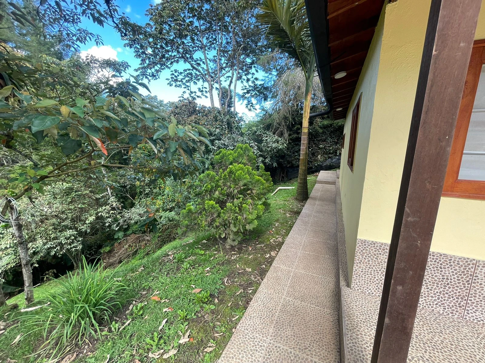 Finca en arriendo en Rionegro sector cabeceras