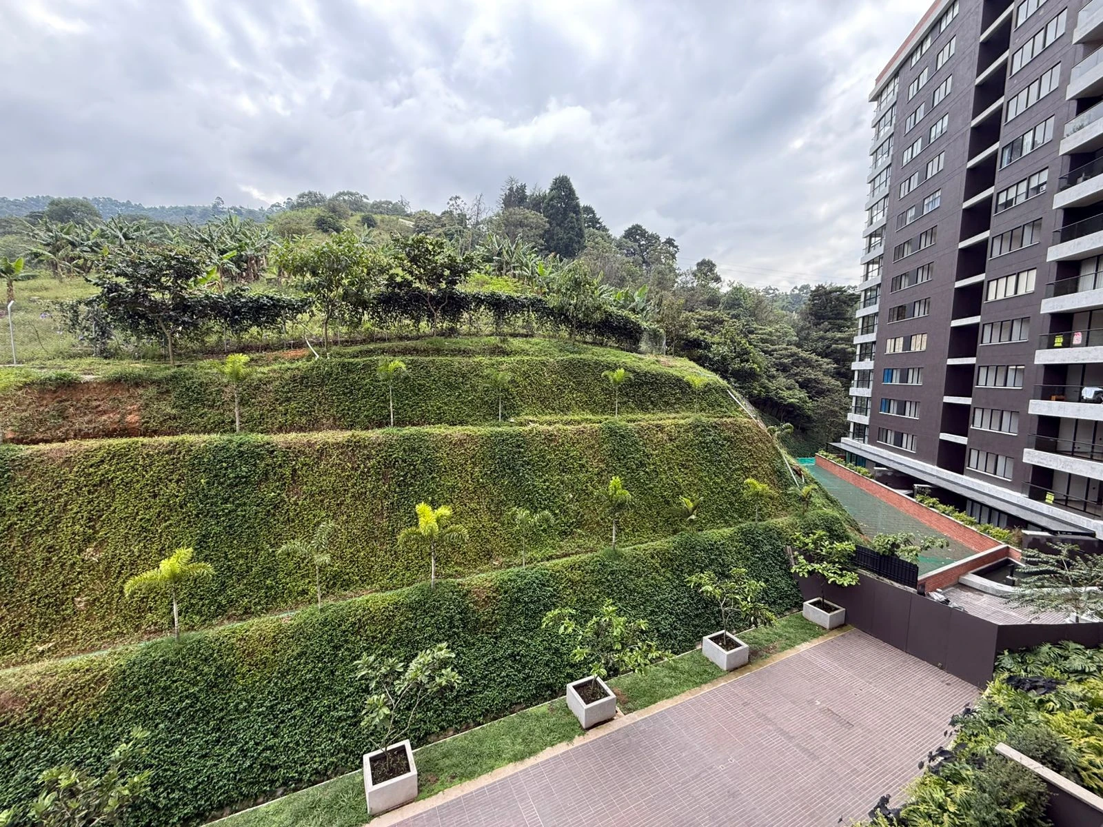 Apartamento en arriendo sector el trianón