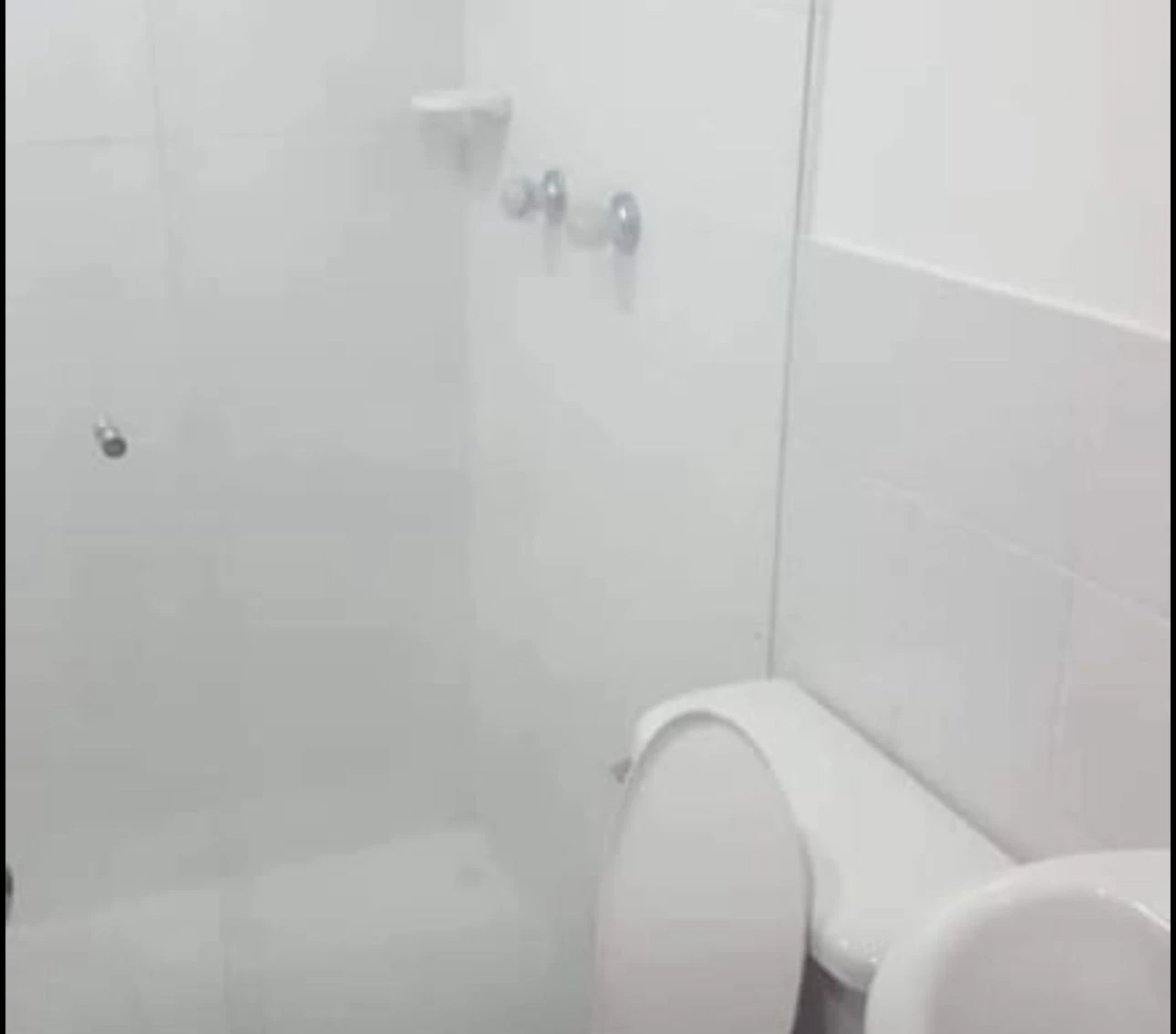 Apartamento en Arriendo Trapiche Bello