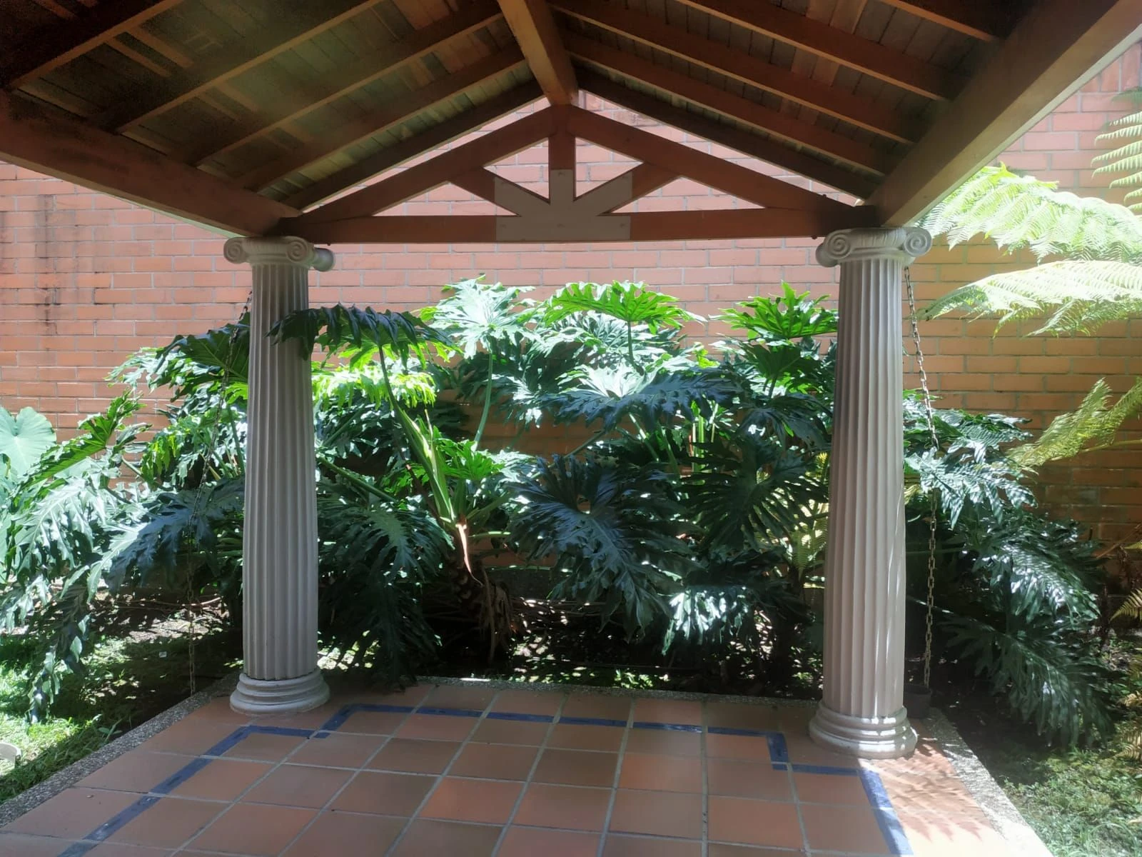 ARRIENDA CASA EN EL POBLADO LOS BALSOS