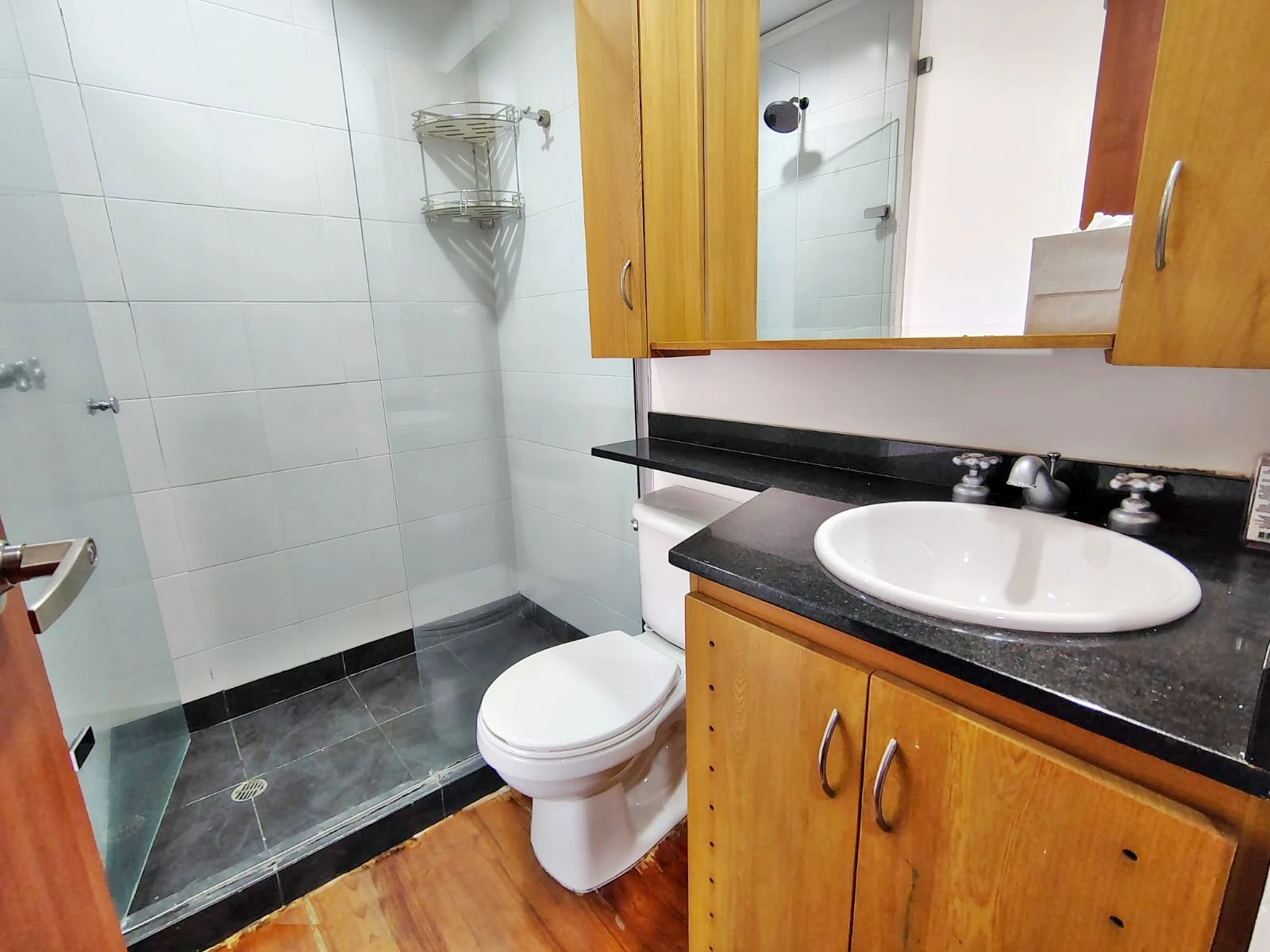 Apartamento en arriendo sector Alejandría 
