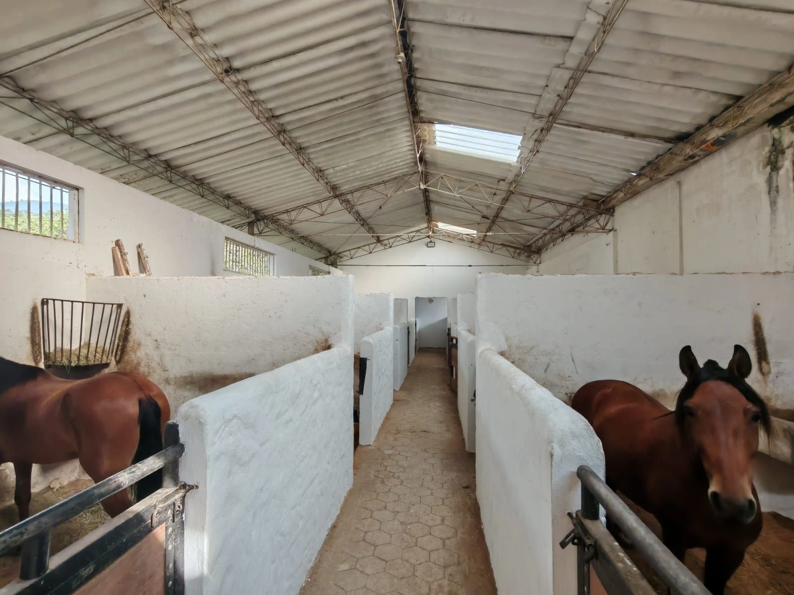 casa en arriendo con pesebrera en copacabana
