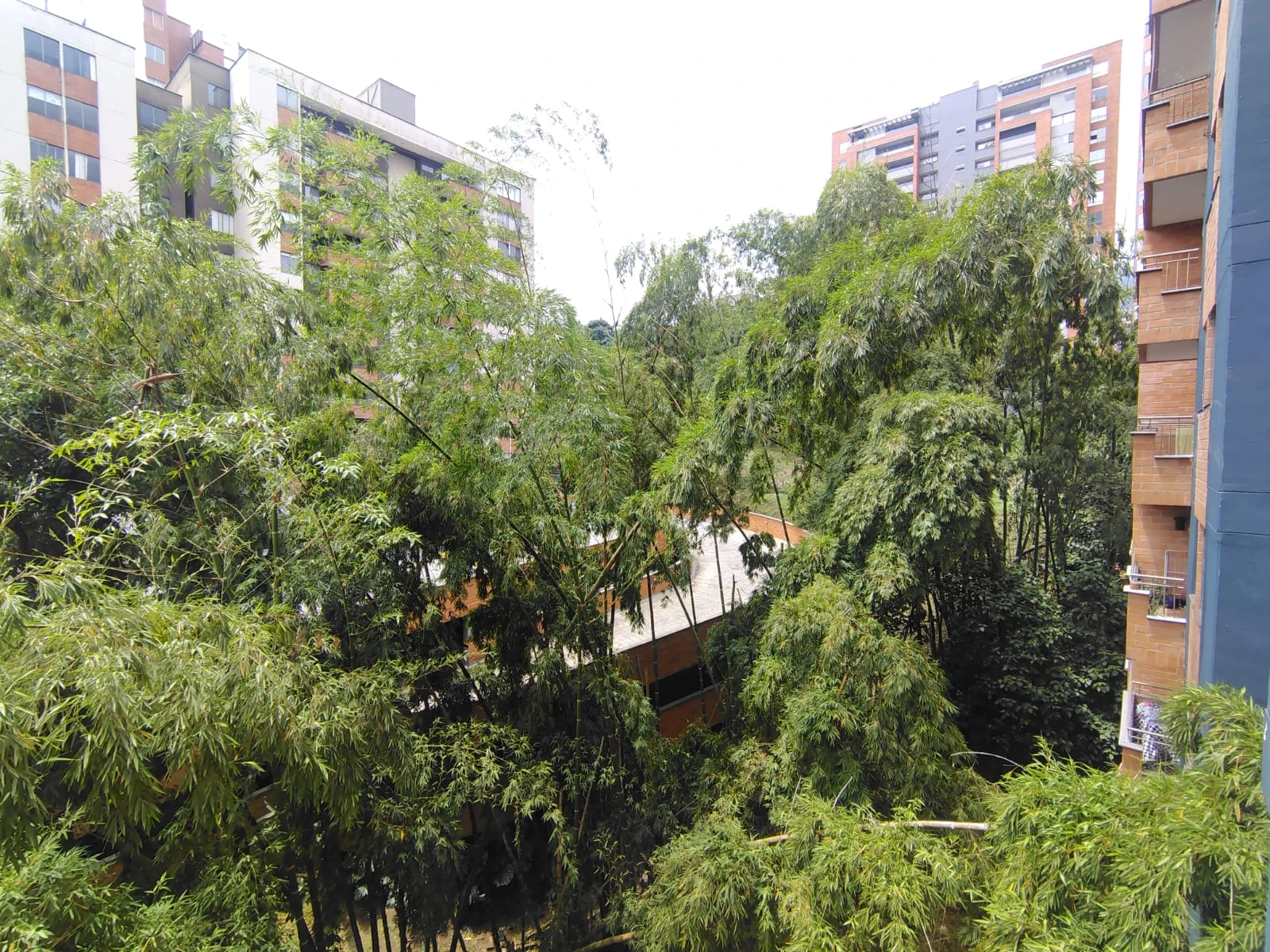 Apartamento en arriendo sector Los Mangos
