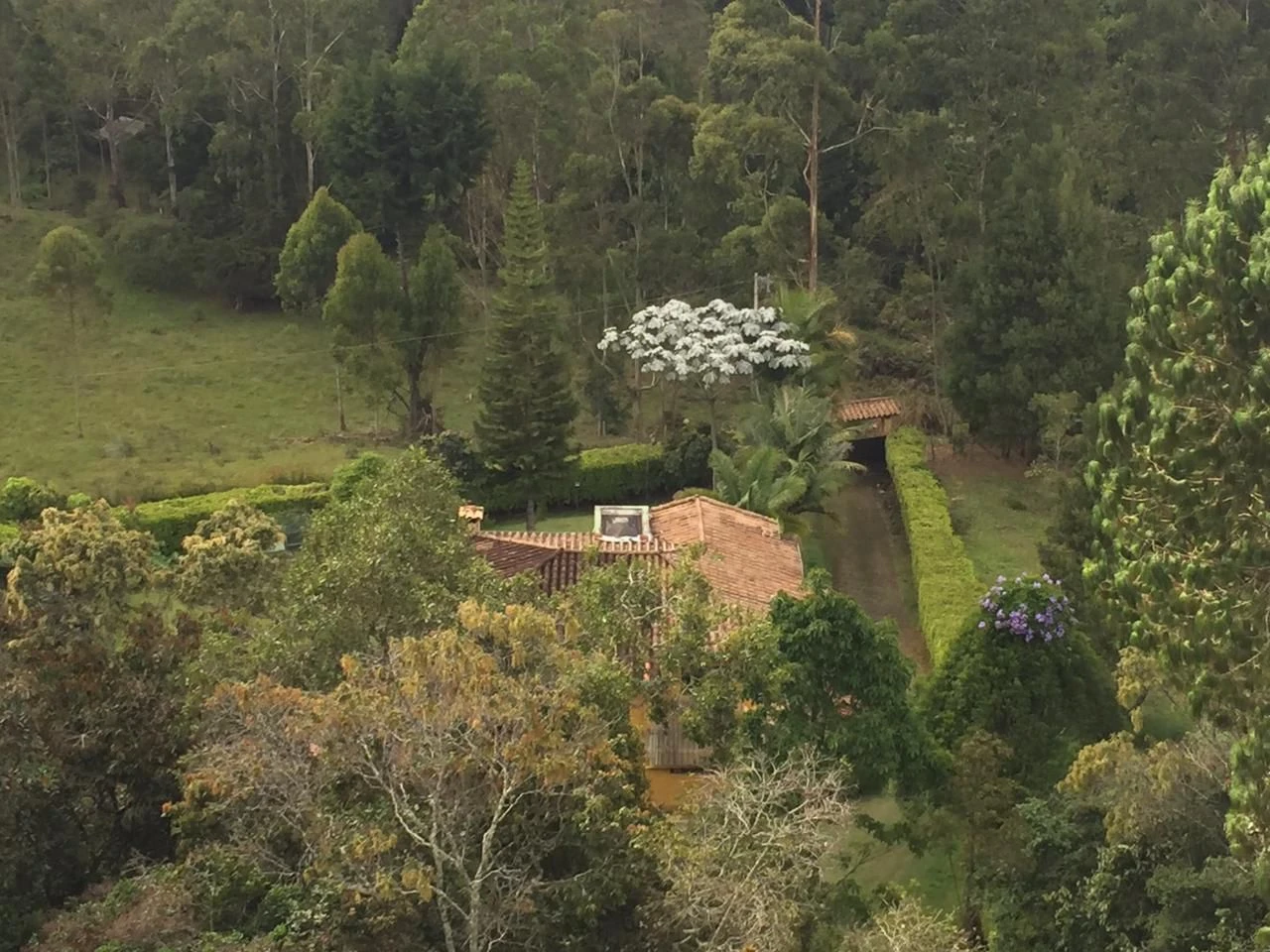 Finca en arriendo en Rionegro vereda la convención