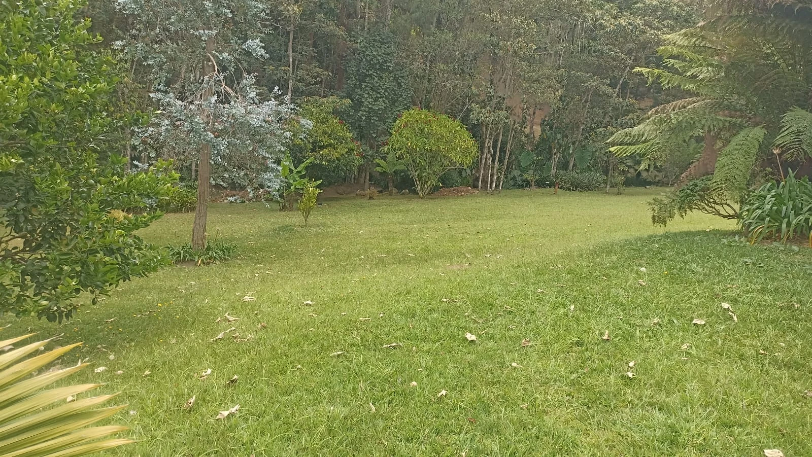 Finca en arriendo el Retiro 