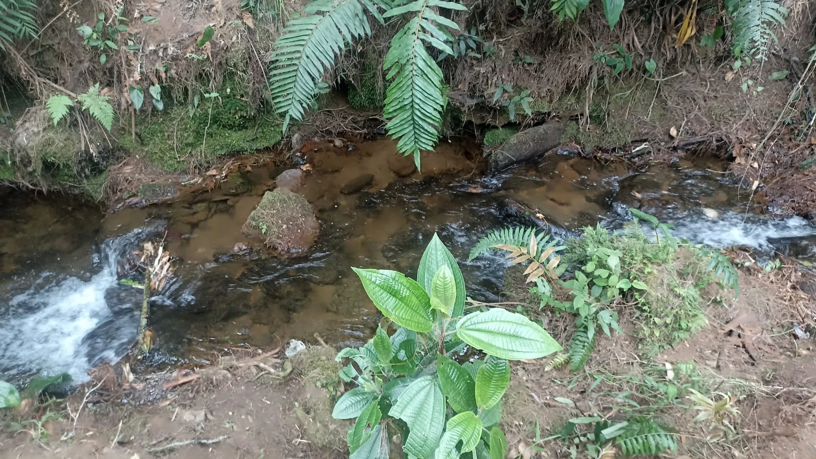 Finca en arriendo el Retiro 