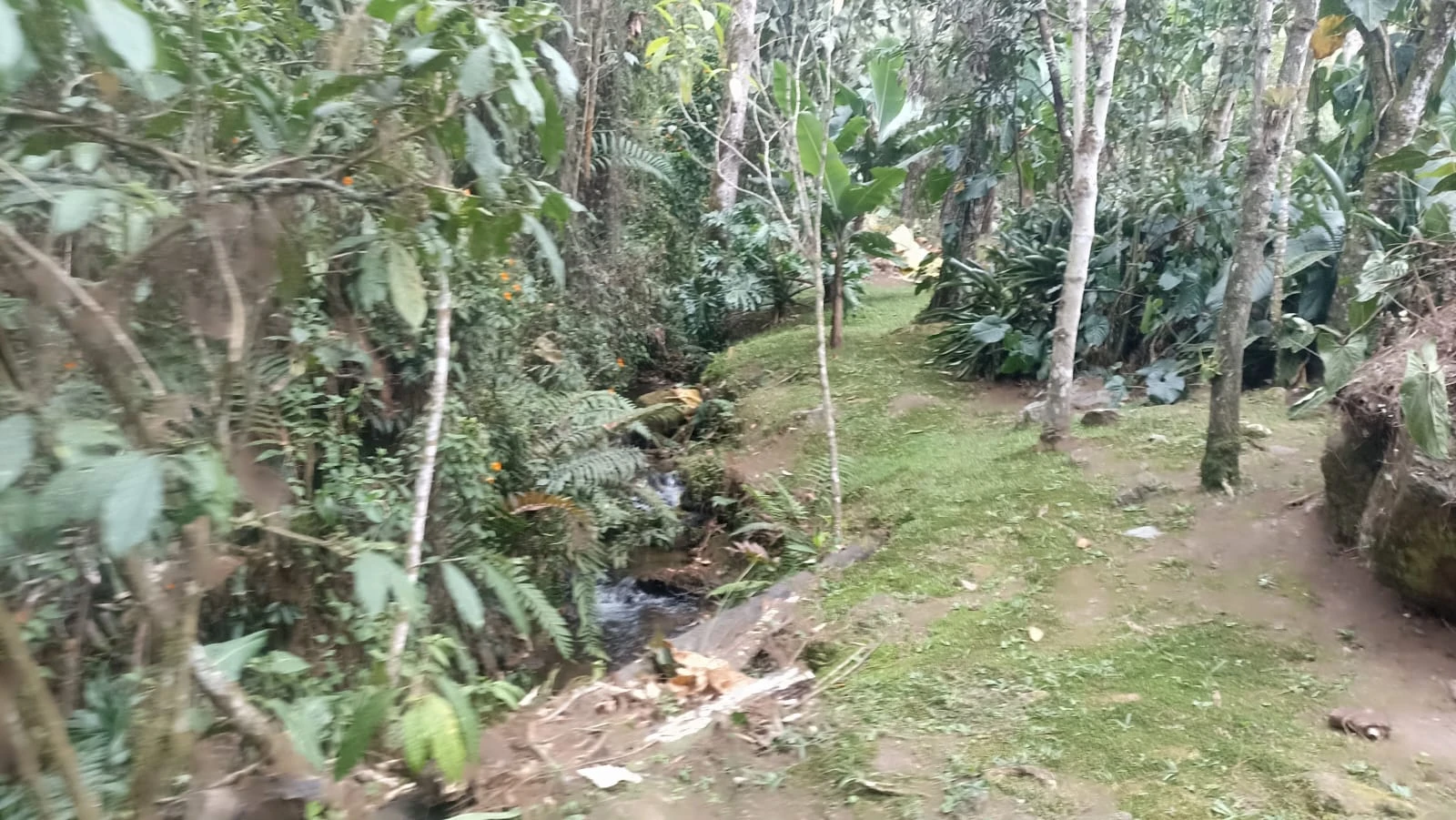 Finca en arriendo el Retiro 