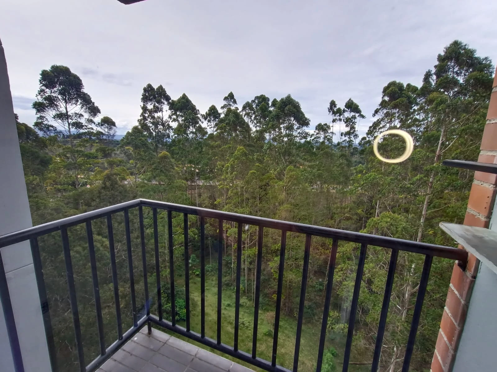 Apartamento en arriendo en rionegro sector fontibon