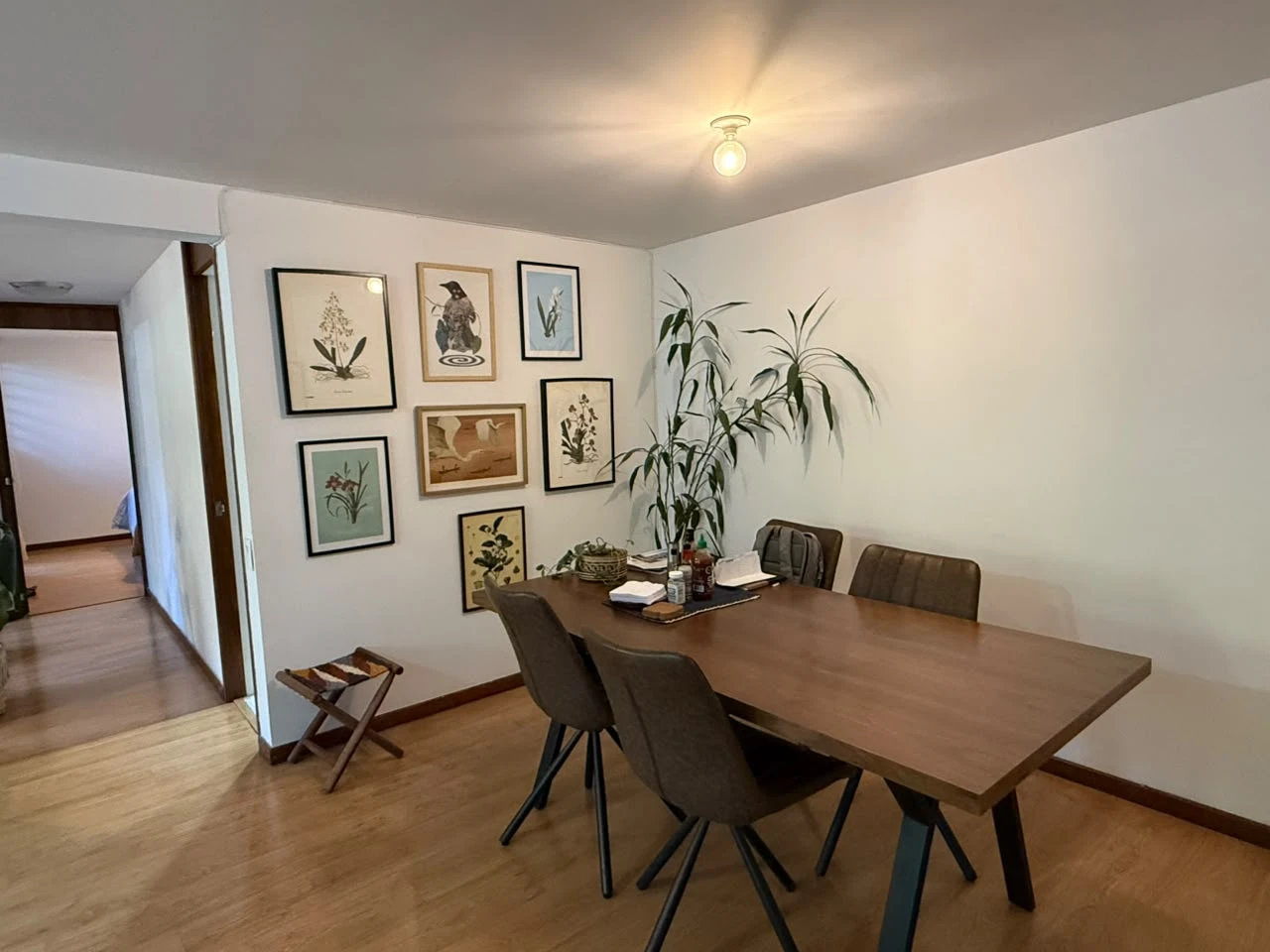 Arriendo Apartamento en el Poblado Sector os Balsos