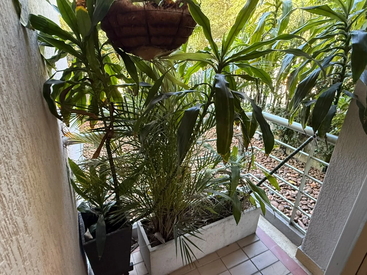 Arriendo Apartamento en el Poblado Sector os Balsos